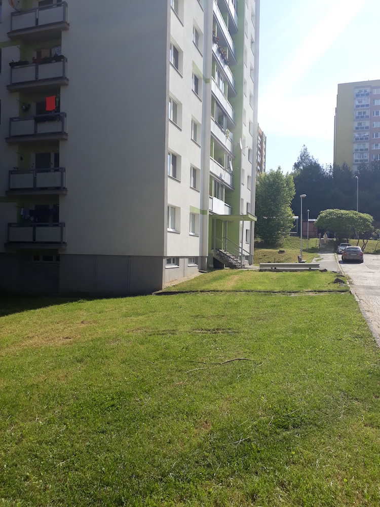 Informácia o priebehu kosieb počas 21. týždňa
