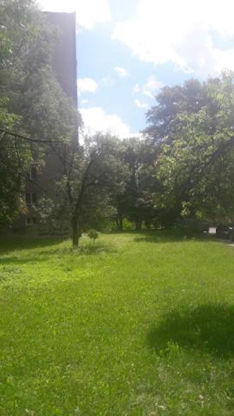 Harmonogram kosenia v 31. týždni