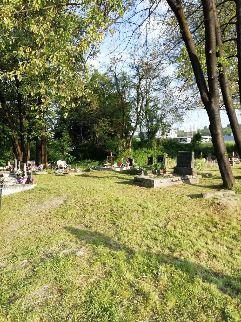 Cintorín Majer