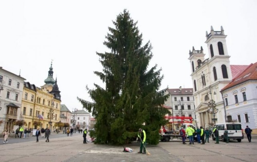 Cesta Vianočného stromu