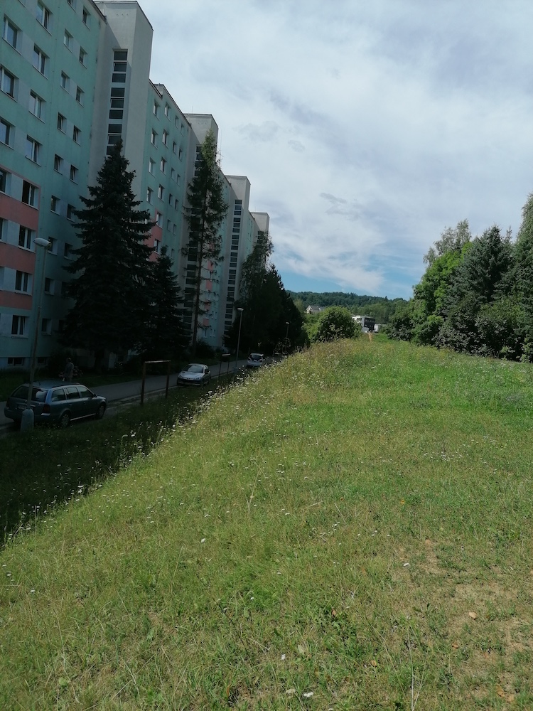 Harmonogram kosenia v 33. týždni 2019