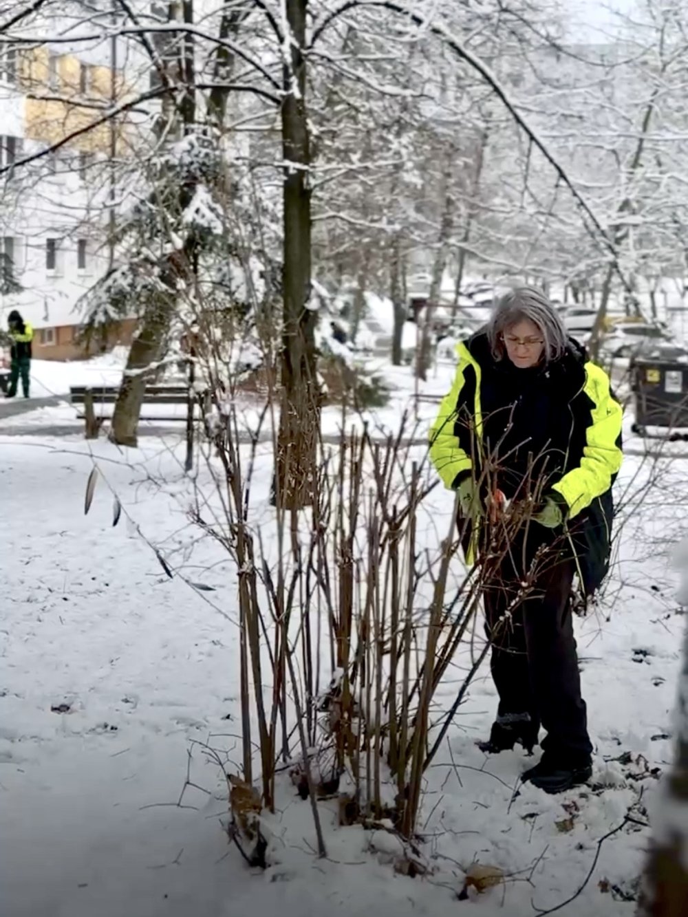 Aj keď príroda odpočíva, starostlivosť o mestskú zeleň pokračuje