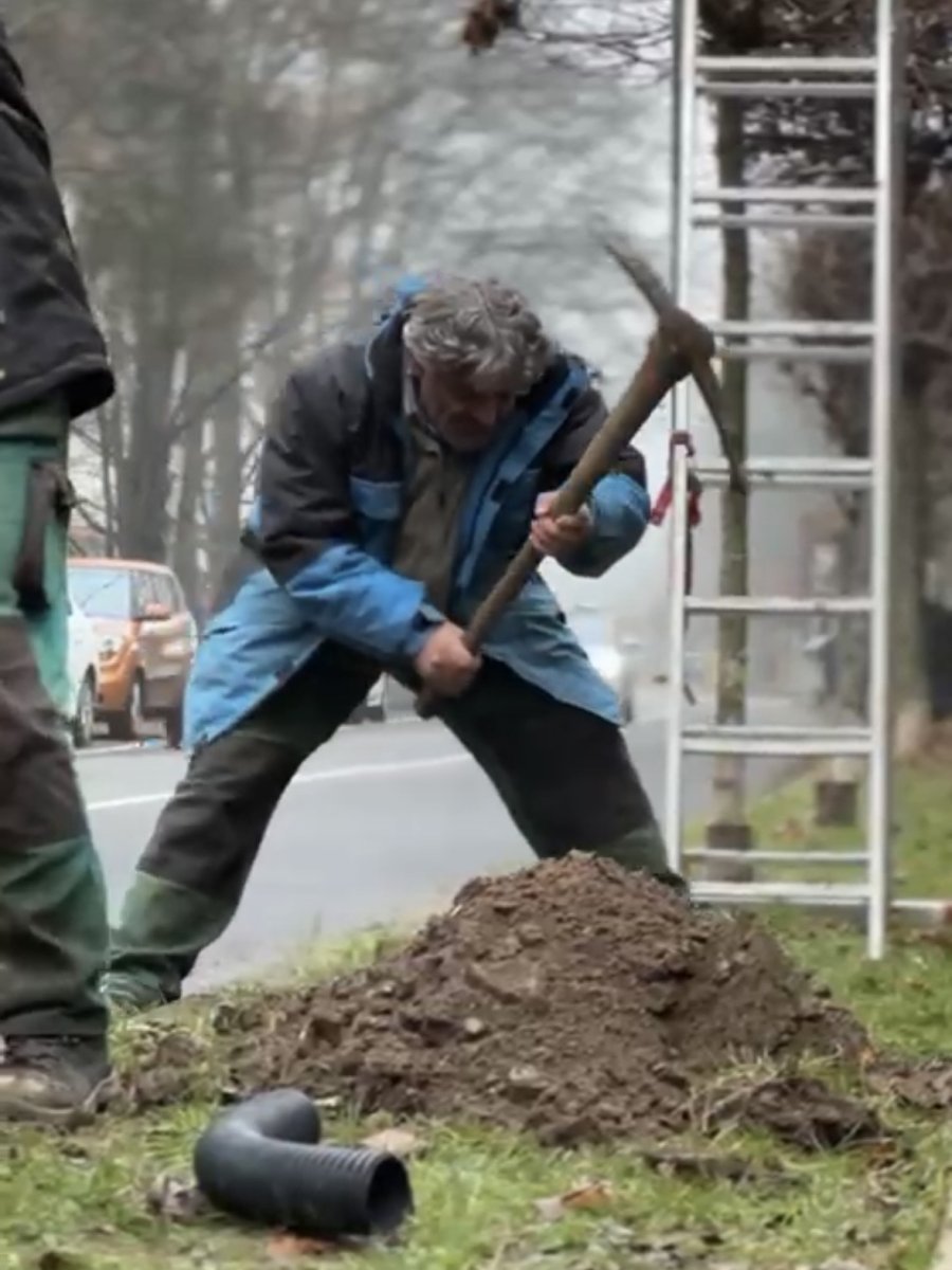 Výsadba - zima 2025
