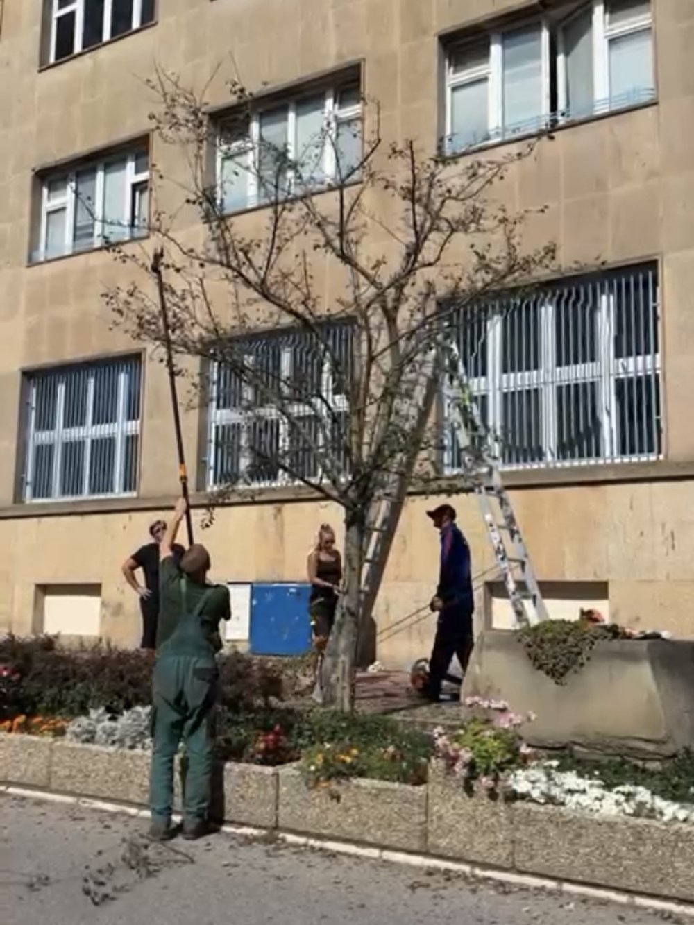 Ošetrenie hlohov