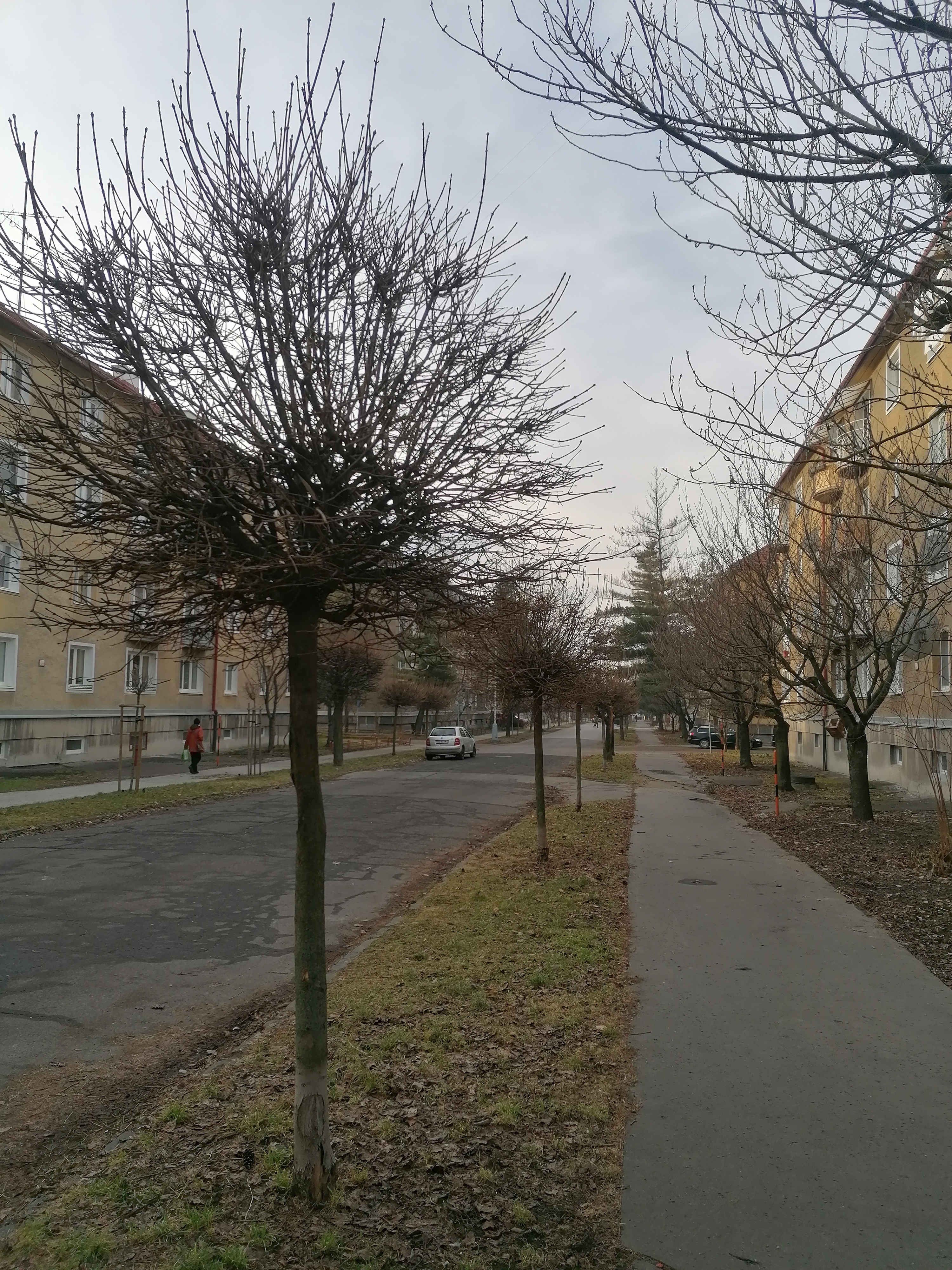 Harmonogram prác v 8. týždni 2020