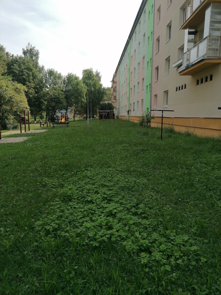 Harmonogram kosenia v 35. týždni 2019