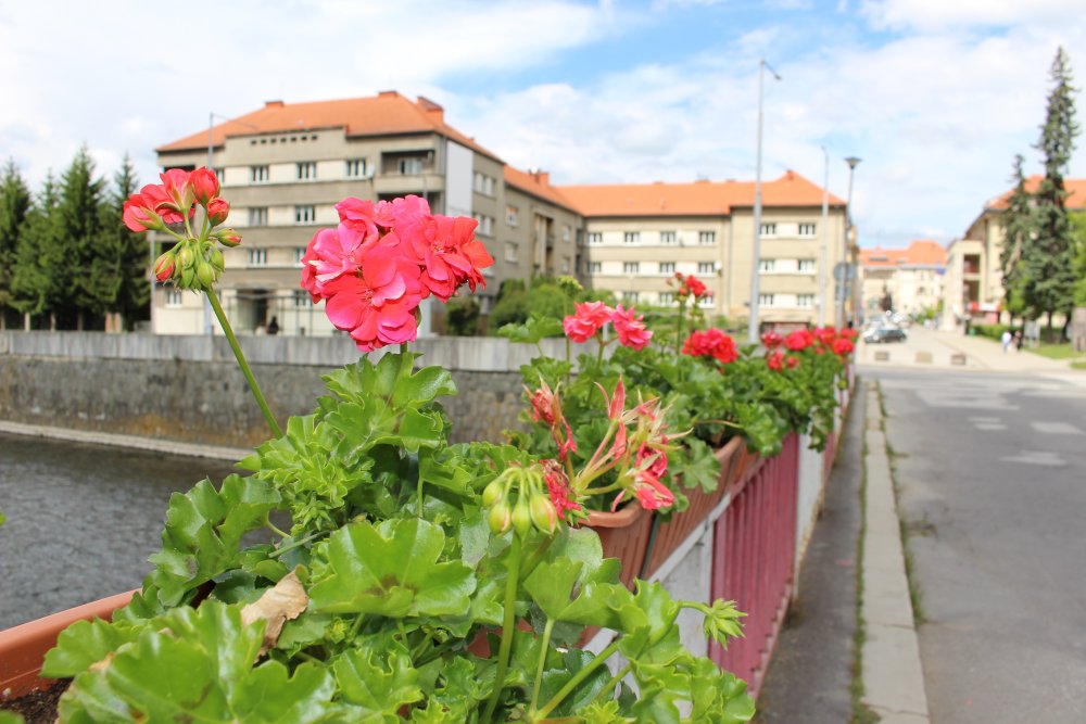 Kvetinová výzdoba na mostoch