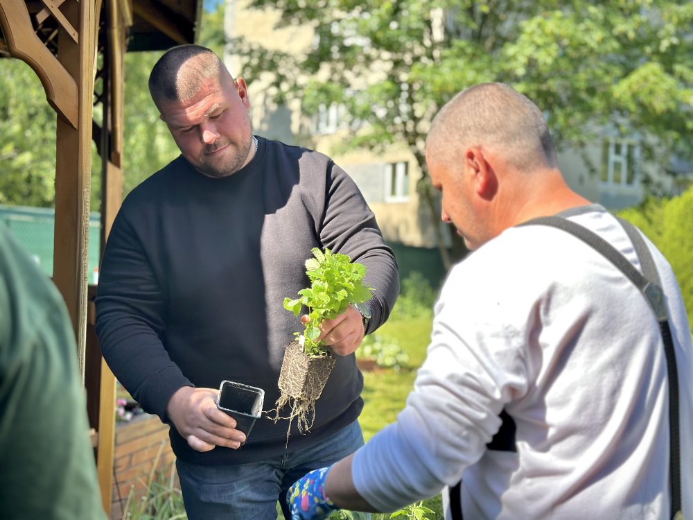 Úprava exteriéru a záhradky v DSS Prameň