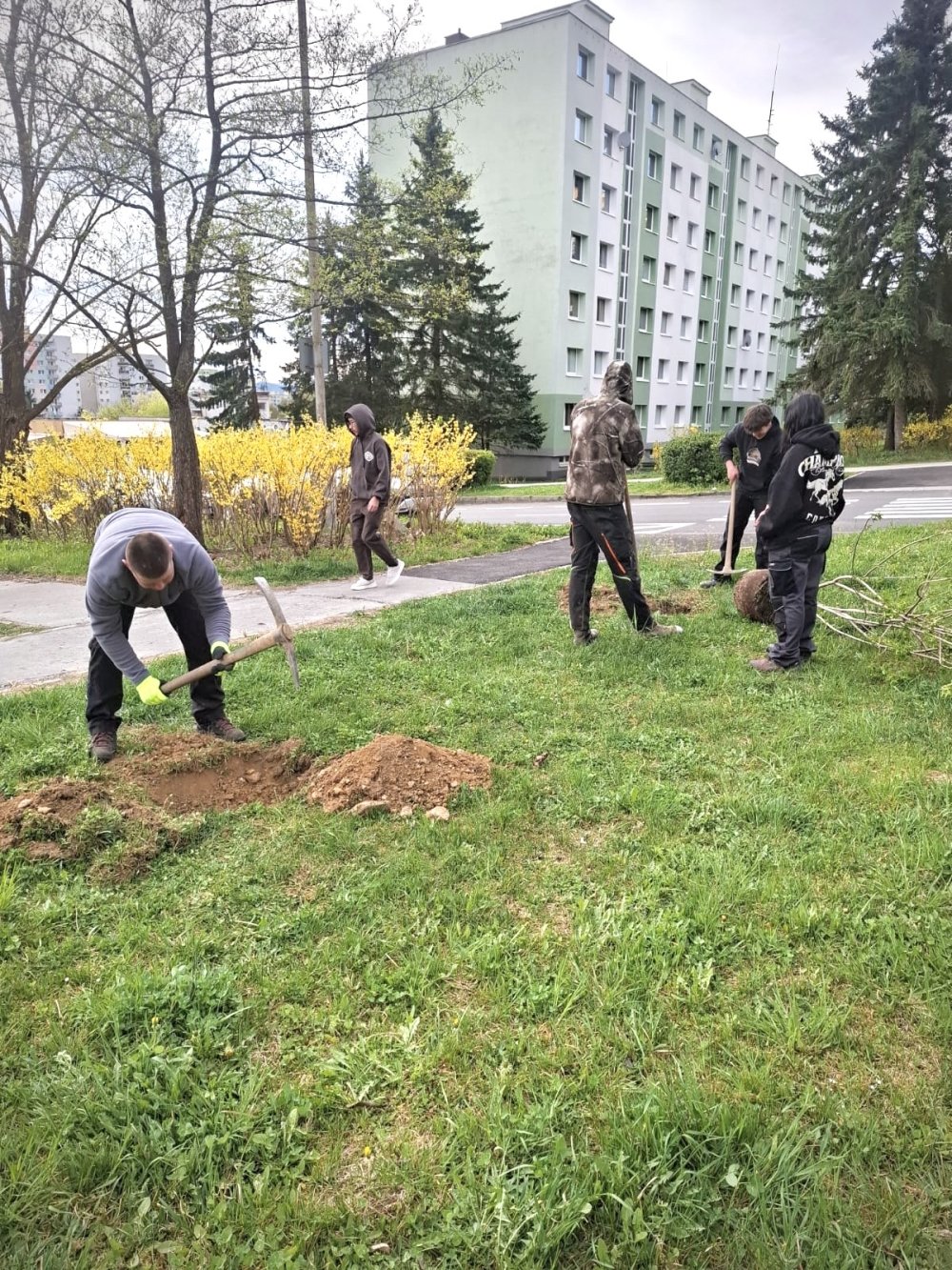 Parkovisko na Pieninskej doplnila nová zeleň aj vďaka študentom