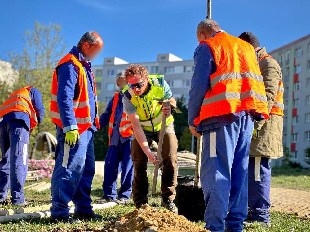 Do výsadby zelene zapájame aj odsúdených